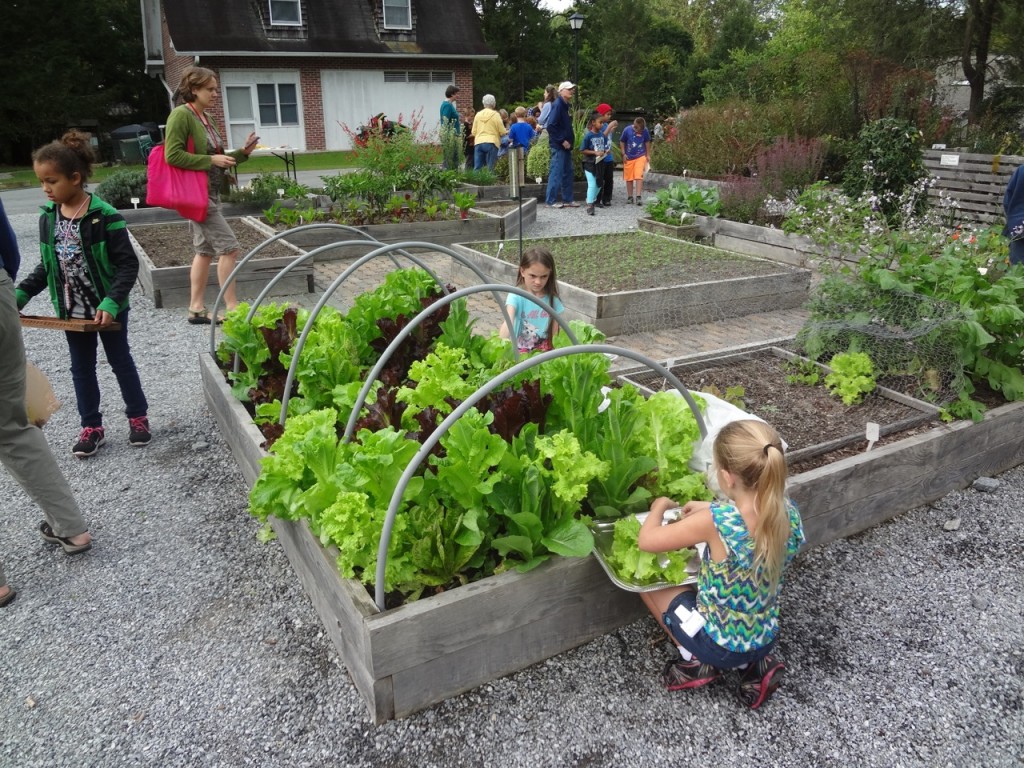 Keter Cultivates Community Connections Through School Garden Program